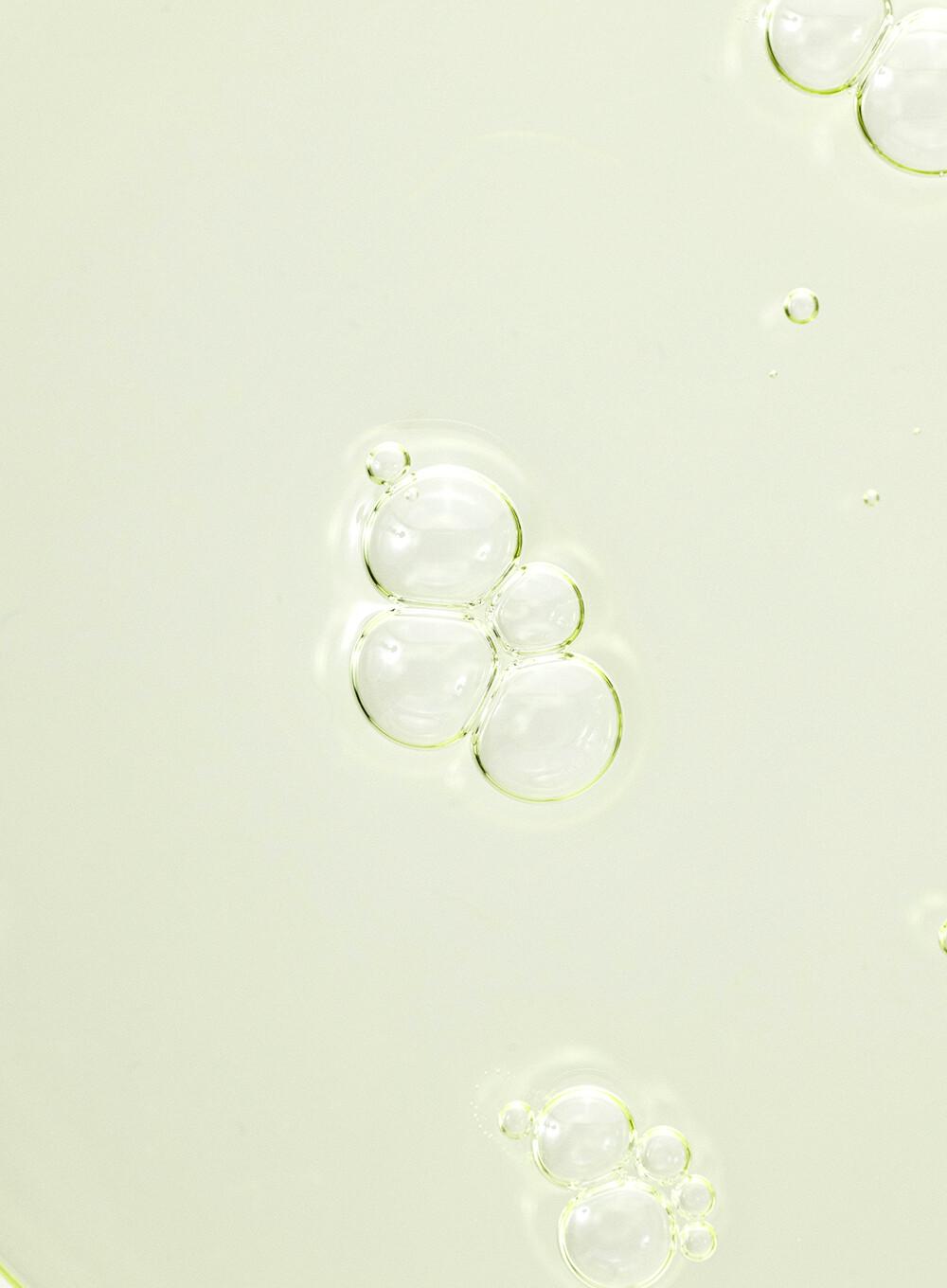 Beauty of Joseon Calming Serum Green Tea + Panthenol