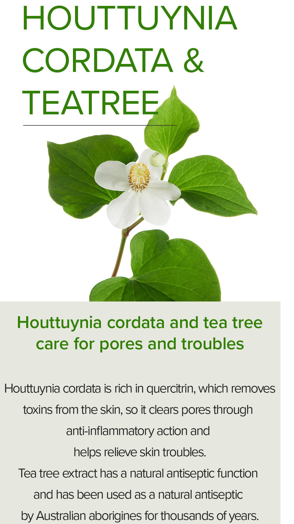 Mary&May Houttuynia Cordata +Tea Tree Serum - 30ml