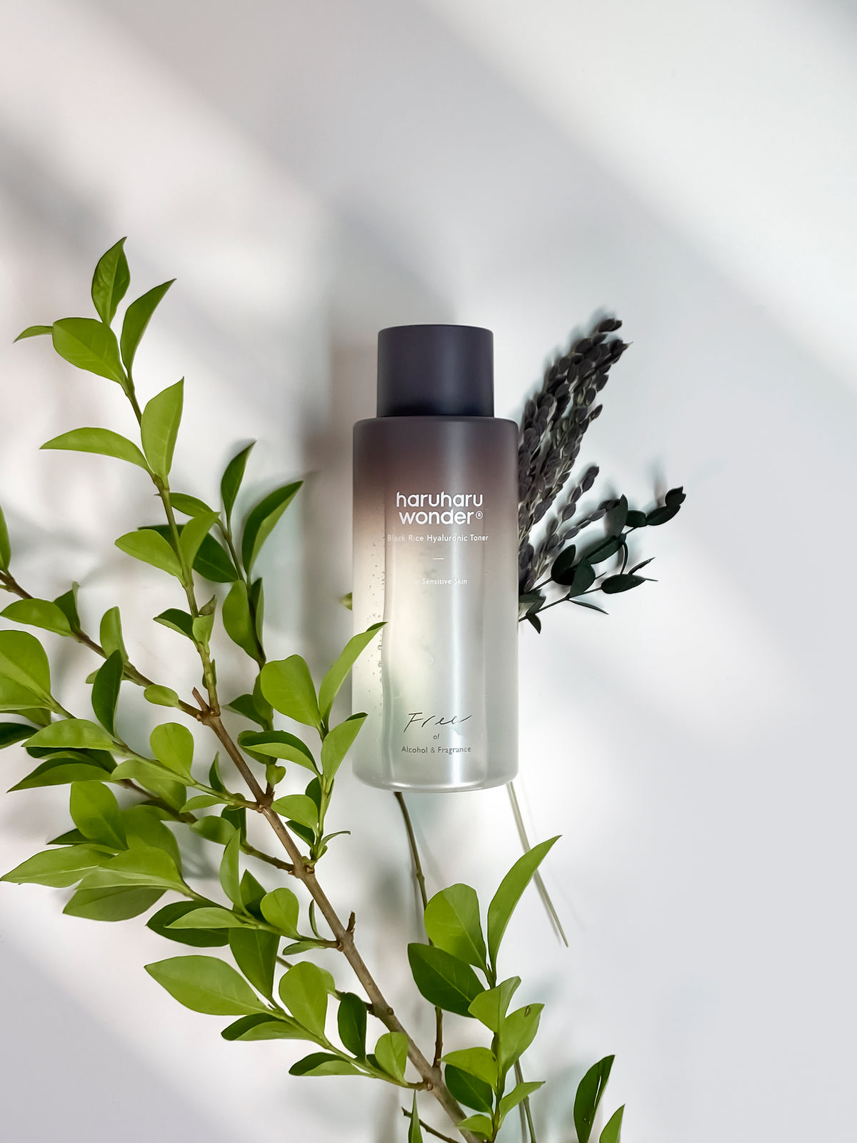Haruharu Wonder Black Rice Hyaluronic Toner for Sensitive Skin - 3Size