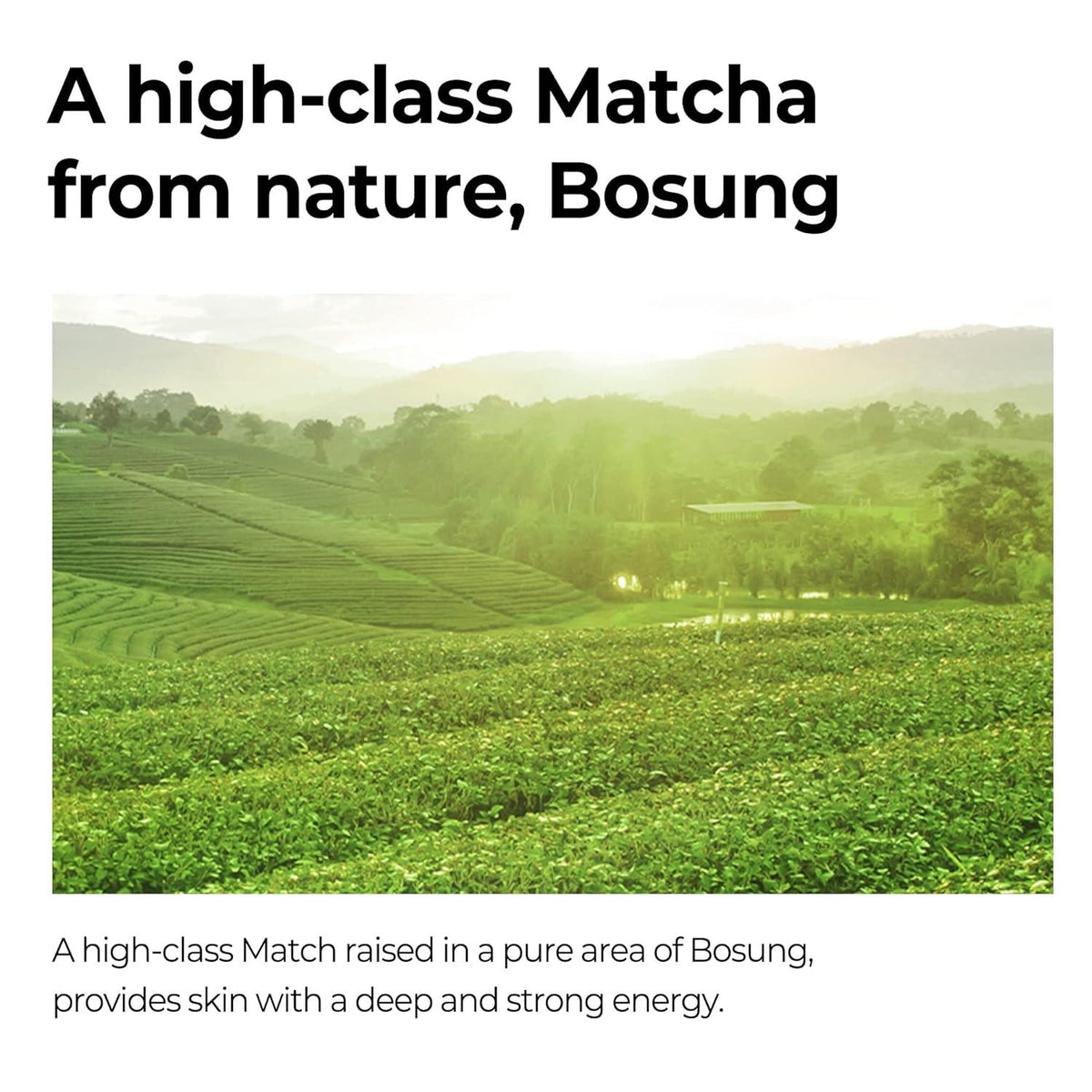 SomeByMi Super Matcha Pore Tightening Serum 50ml