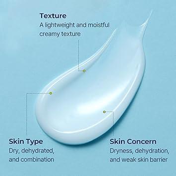 Torriden DIVE-IN Low Molecular Hyaluronic Acid Cream 80mL