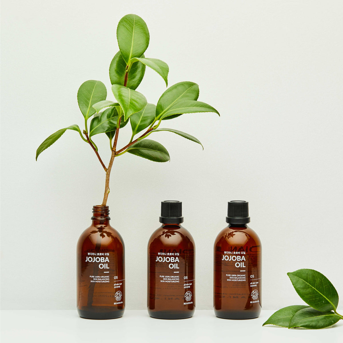 Beaudiani Jojoba Oil 100ml