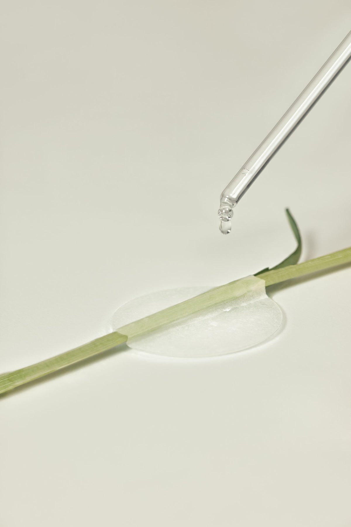 The Lab by Blanc Doux Green Flavonoid™ 2.5 Pad 120g (90p)