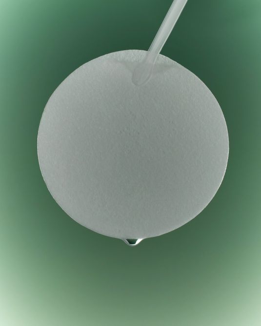The Lab by Blanc Doux Green Flavonoid™ 2.5 Pad 120g (90p)