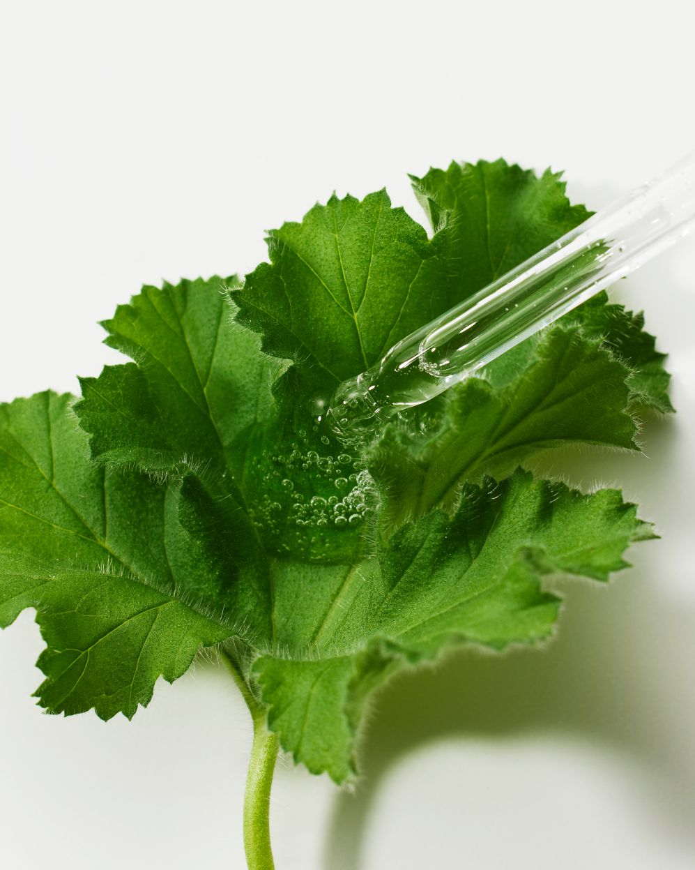 THE LAB By BLANC DOUX Green Flavonoid™ 5.0 Serum 30ml